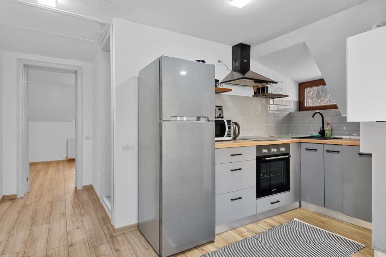Two Bedrooms Hytta Apartment Sinaia Dış mekan fotoğraf